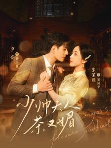 少帅夫人茶又媚(全集)
