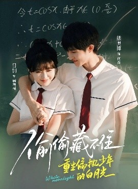 偷偷藏不住重生偏执少年的白月光(全集)