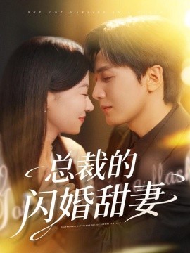 总裁的闪婚甜妻(全集)