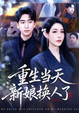重生当天新娘换人了(全集)